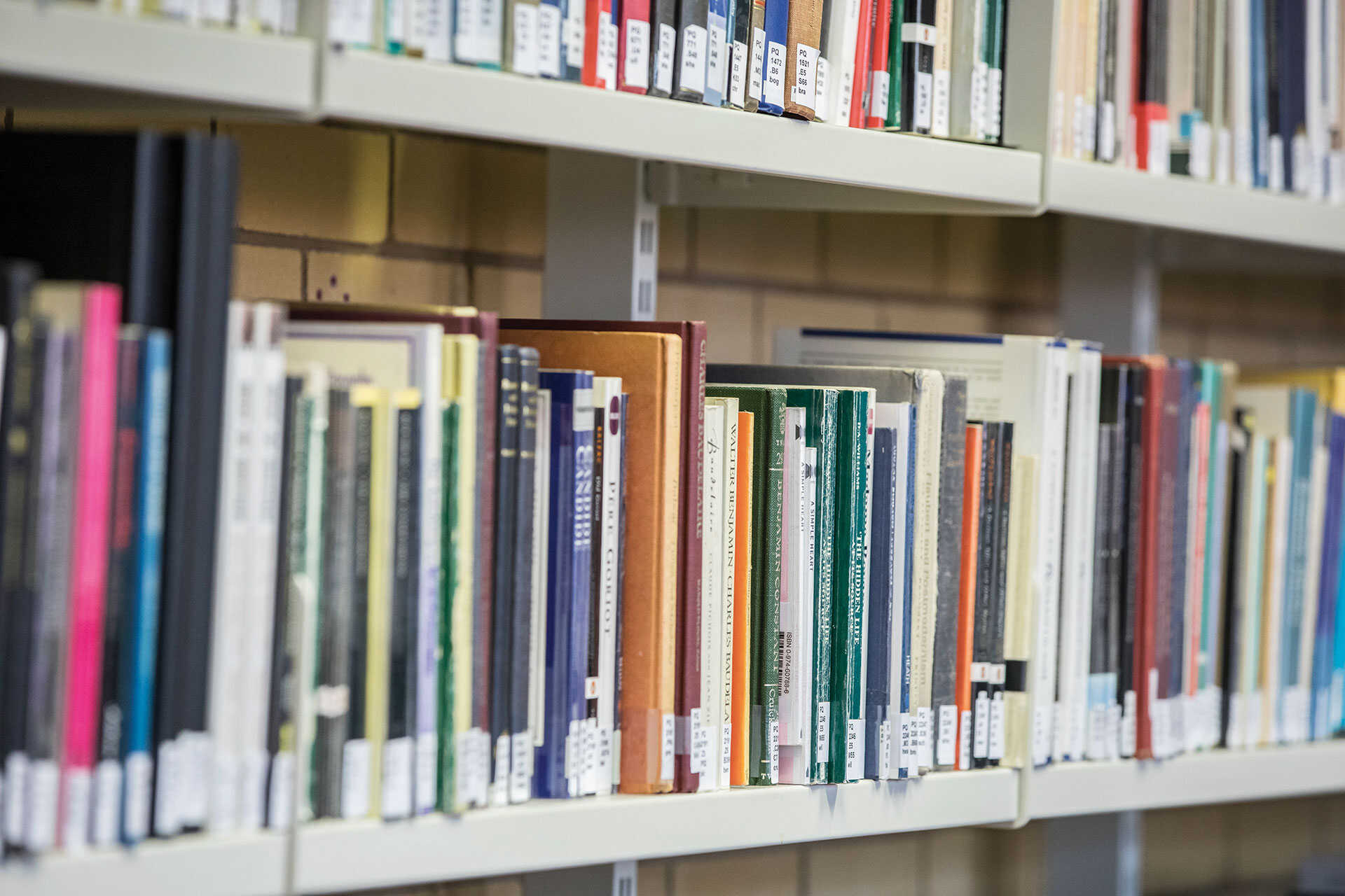 A shelf lined with library books